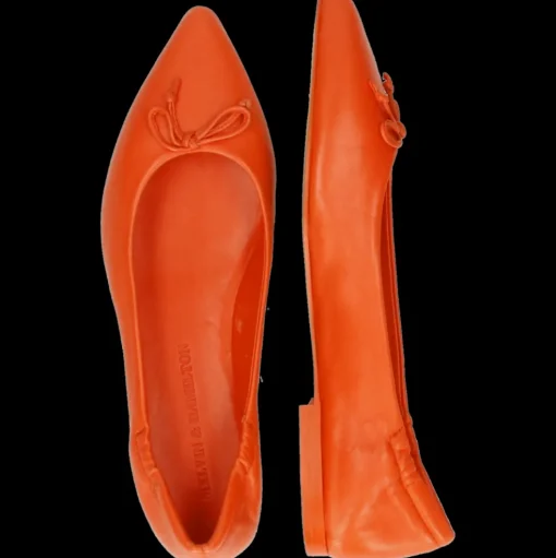 Alora 4