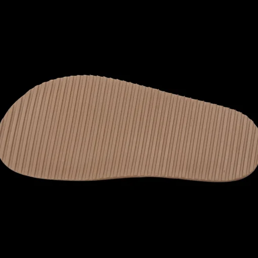 Eve 1